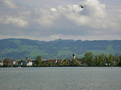 Foto Schweizer Bodensee